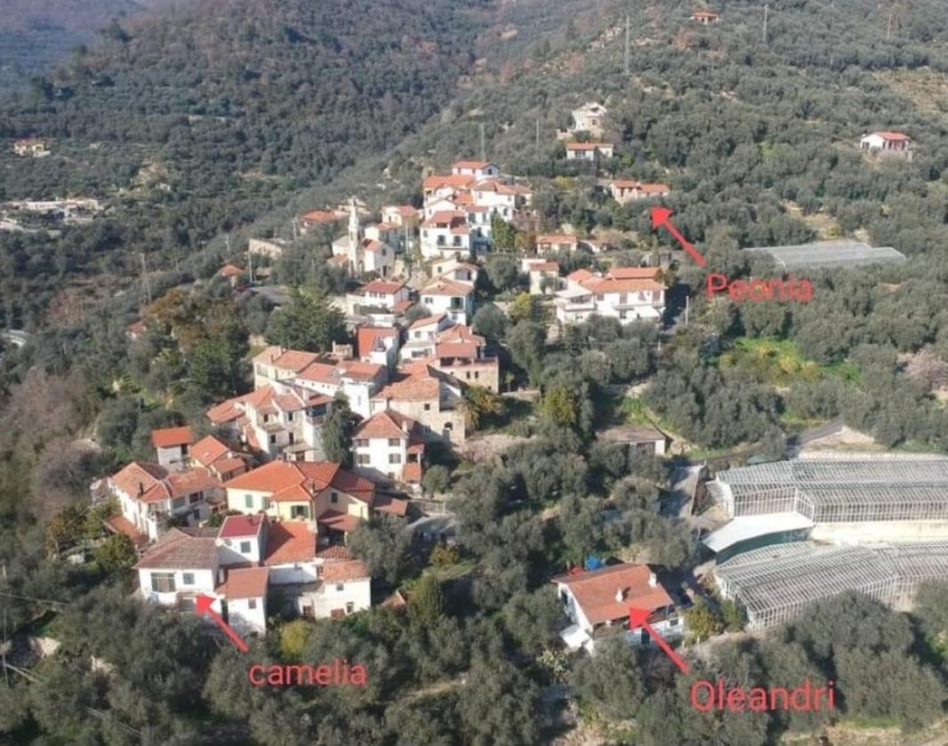 Uliveto Villa Diano San Pietro Luaran gambar